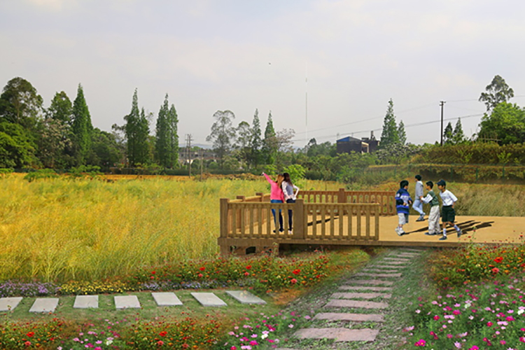 七彩田园（研学）